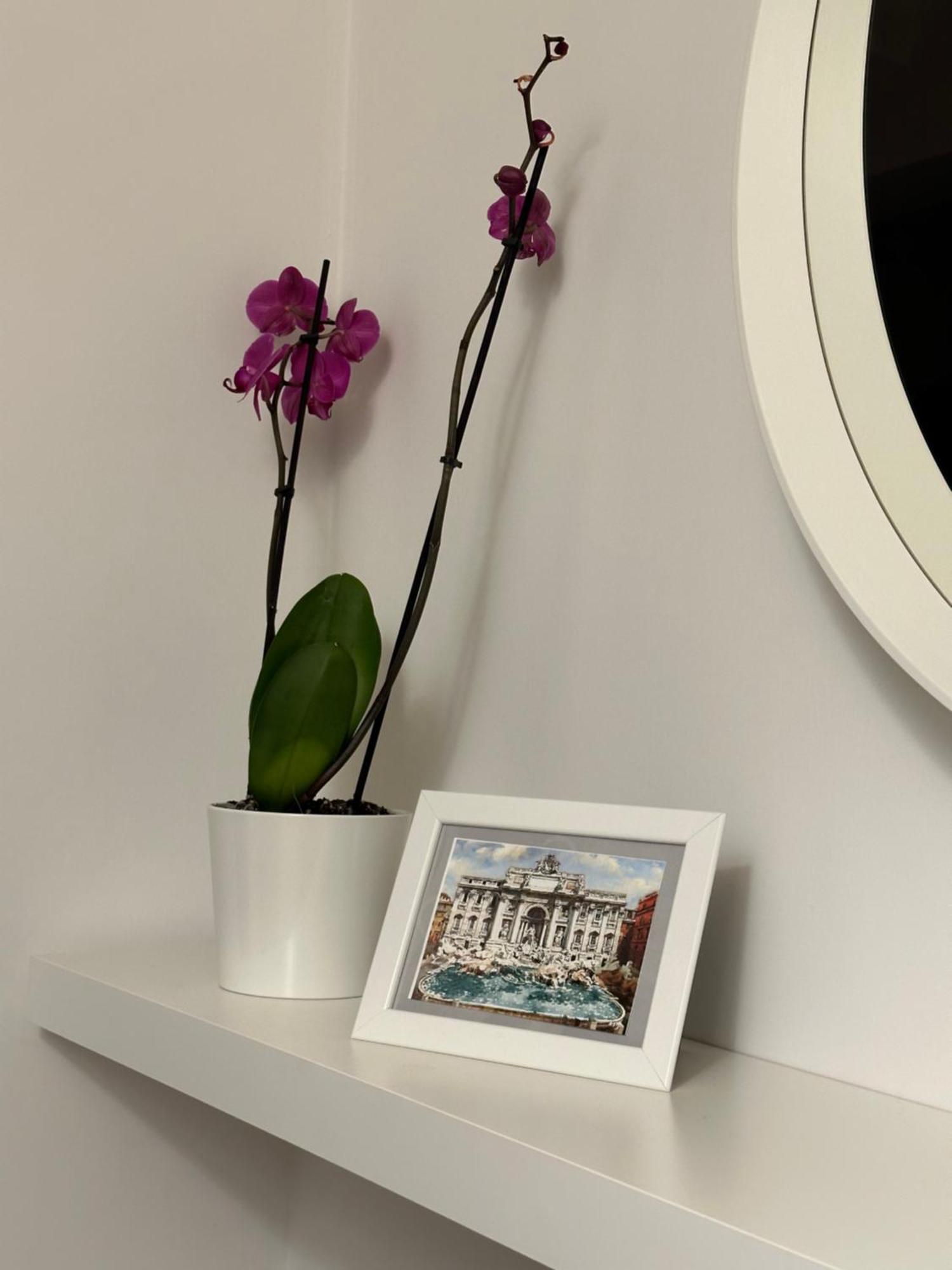 Trithome Suite Boutique Barberini روما المظهر الخارجي الصورة